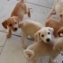 CAN DOSTLARA YUVA fotoğraf
