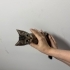 Çok acil yuva, vakitleri kalmadı! fotoğraf