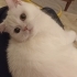 Oyuncu, sevgi arsızı fotoğraf