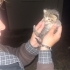 1 Haftalık Erkek Tekir Kedi Yavrusu fotoğraf