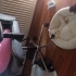 Pamuk ve Oreo Acil Yuva Arıyor fotoğraf