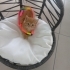 COK BEYEFENDİYİM  Alex fotoğraf