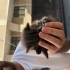 Avuç içi kadar bebeğimize yuva fotoğraf