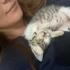 Yuva bulamazsa sokağa dönmek zorunda olan annesiz büyüyen minik kedi fotoğraf