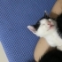 Sokakta yapamayacak annesiz minik erkek fotoğraf