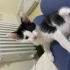 Sokakta yapamayacak annesiz minik erkek fotoğraf