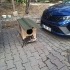 İnsan canlısı yavru kedi fotoğraf
