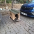 İnsan canlısı yavru kedi fotoğraf