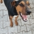 Park'ta tek başına fotoğraf