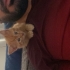 2 Aylık Sağlıklı ve Sevecen Sarman fotoğraf