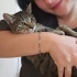 4 aylık yavru kedi tel:0545 806 86 49 fotoğraf