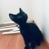 Geçici yuvada son günleri fotoğraf