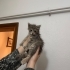 MİNİK KIZA ÖMÜRLÜK BİR YUVA ARIYORUZ fotoğraf