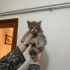 MİNİK KIZA ÖMÜRLÜK BİR YUVA ARIYORUZ fotoğraf