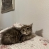 MİNİK KIZA ÖMÜRLÜK BİR YUVA ARIYORUZ fotoğraf