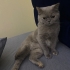 Küçük tatli bir kız fotoğraf