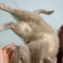 Küçük tatli bir kız fotoğraf