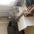 Çok ama çok sevecen fotoğraf