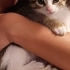 Yavru kardeşlere yuva arıyoruz fotoğraf