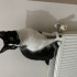 Çok tatlı ve usluyum fotoğraf