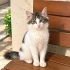 PRENSES MAYA YUVASINI ARIYOR fotoğraf