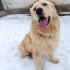 Güzel oğlumaaa Çakime bahçeli ev fotoğraf