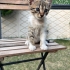 Tatlı Bebek Yuvasız Kalmasın fotoğraf