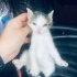 Sokakta doğmuş miniklere yuva arıyoruz fotoğraf