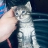 Sokakta doğmuş miniklere yuva arıyoruz fotoğraf