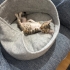 2 aylık oğlumuza ömürlük yuva fotoğraf
