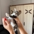 İki Kardeş Bebeğe Acil Yuva fotoğraf