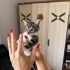 İki Kardeş Bebeğe Acil Yuva fotoğraf