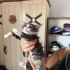 İki Kardeş Bebeğe Acil Yuva fotoğraf