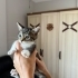 İki Kardeş Bebeğe Acil Yuva fotoğraf