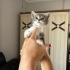 İki Kardeş Bebeğe Acil Yuva fotoğraf