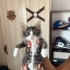 İki Kardeş Bebeğe Acil Yuva fotoğraf