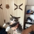 İki Kardeş Bebeğe Acil Yuva fotoğraf
