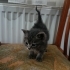 Avuç içi kadar bebek fotoğraf