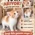 Bebeklere yuva arıyor fotoğraf