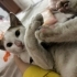 Sokağa gitmek istemiyorum bana aile olur musunuz? fotoğraf