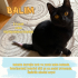 Kuyruğu kırık tedavisi biten Balım’a yuva fotoğraf