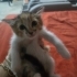Zeyna Bebek yuvasını arıyor fotoğraf