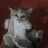Zeyna Bebek yuvasını arıyor fotoğraf