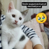 Artık Şansımız Dönsün Lütfen fotoğraf