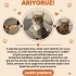 Ona daha iyi bir ortam sunabilecek, yuvasını arıyoruz fotoğraf