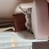 3 yaşında çok akıllı bir erkek fotoğraf