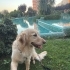 Acil yuva arıyoruz fotoğraf