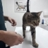 Kronik sinüzit sokakta yapamaz fotoğraf