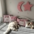 Ücretsiz Longhair fotoğraf