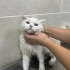 Güzelliğimiz ömürlük yuvasını arıyor😍 fotoğraf